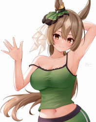 Rule 34 | 1girl, animal ears, arm behind head, arm up, armpits, bare arms, bare shoulders, blunt ends, breasts, brown eyes, brown hair, camisole, cleavage, closed mouth, collarbone, crop top, ear ornament, eyelashes, green camisole, green pants, hair between eyes, hair ornament, hand up, head tilt, highres, horse ears, horse girl, large breasts, light blush, long hair, looking at viewer, meyrink, midriff, navel, no bra, pants, ponytail, satono diamond (umamusume), sidelocks, simple background, smile, solo, strap slip, umamusume, upper body, very long hair, waving, white background