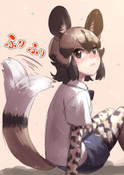 Rule 34 | 1girl, african wild dog (kemono friends), african wild dog print, afterimage, animal ears, beige background, black eyes, black hair, blush, brown hair, commentary, dog ears, dog tail, hair between eyes, highres, kemono friends, layered sleeves, long sleeves, looking at viewer, multicolored hair, pantyhose, pantyhose under shorts, print pantyhose, print sleeves, shirt, short hair, short over long sleeves, short sleeves, shorts, simple background, sitting, solo, sparkle, tail, tail wagging, takami masahiro, translated, two-tone hair, white shirt