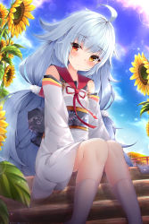Rule 34 | 1girl, absurdres, ahoge, alternate costume, artist name, azur lane, bare shoulders, blush, closed mouth, commentary request, dated, day, detached sleeves, flower, heterochromia, highres, huge filesize, ichizon, japanese clothes, kimono, long hair, looking at viewer, nicholas (azur lane), obi, outdoors, red eyes, sash, sidelocks, silver hair, sitting, sitting on stairs, socks, solo, stairs, sunflower, sunlight, torii, very long hair, white socks, yellow eyes