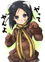 Rule 34 | 10s, 1girl, animal ears, black hair, brave witches, kanno naoe, scarf, solo, strike witches, striped clothes, striped scarf, world witches series
