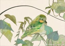 Rule 34 | absurdres, animal focus, black eyes, chinese commentary, commentary request, green bird, highres, leaf, looking at viewer, no humans, original, plant, qingyu tongguo le dixia jiao yi, solo, vines, watermark, weibo logo, weibo watermark