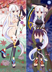 Rule 34 | 1girl, breasts, bug, butterfly, gloves, insect, japanese clothes, katanagatari, kimono, kneeguard, lily pad, moon, nude, red eyes, sandals, snake, solo, sword, thighhighs, togame, weapon, white hair