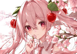 Rule 34 | 1girl, branch, cherry hair ornament, closed mouth, collared shirt, commentary request, detached sleeves, flower, food-themed hair ornament, frilled shirt, frilled shirt collar, frills, guribato, hair between eyes, hair ornament, hand up, hatsune miku, highres, holding, holding flower, long hair, long sleeves, looking at viewer, necktie, petals, pink flower, pink necktie, red eyes, sakura miku, shirt, sleeveless, sleeveless shirt, smile, solo, twintails, vocaloid, white shirt, white sleeves, wide sleeves