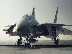 Rule 34 | 1girl, ace combat, ace combat 04, aircraft, aircraft carrier, airplane, bad id, bad pixiv id, blonde hair, embodiment of scarlet devil, f-14, female focus, fighter jet, flight deck, jet, military, military vehicle, missile, ocean, photo background, photorealistic, realistic, rumia, ship, solo, touhou, vehicle focus, warship, water, watercraft, yukihalbert
