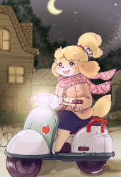 Rule 34 | 1girl, animal crossing, animal ears, barefoot, bell, blonde hair, blue eyes, blue skirt, blush, brown jacket, buck teeth, crescent moon, dog ears, dog girl, dog tail, female focus, fence, flat chest, full body, furry, furry female, hair bell, hair ornament, hair tie, hands up, happy, house, isabelle (animal crossing), jacket, jingle bell, long sleeves, miniskirt, moon, motor vehicle, motorcycle, night, night sky, nintendo, open mouth, outdoors, pencil skirt, pink scarf, riding, scarf, setouchi kurage, short hair, sitting, skirt, sky, smile, solo, star (sky), tail, teeth, topknot, tree, window