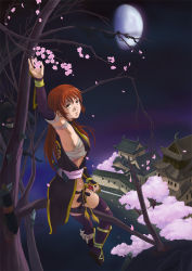Rule 34 | 1girl, armpits, bandages, black thighhighs, blood, brown eyes, brown hair, castle, cherry blossoms, choker, dead or alive, detached sleeves, half moon, highres, in tree, injury, japanese clothes, kagura dfc, kasumi (doa), kunai, long hair, moon, night, night sky, ninja, pelvic curtain, scabbard, sheath, short sword, shuriken, sitting, sitting in tree, sky, sword, tanto, tantou, tecmo, thighhighs, tree, weapon, when you see it
