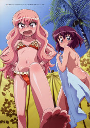Rule 34 | 00s, 2girls, absurdres, angry, ass, barefoot, beach, bikini, blush, covering privates, covering breasts, day, dengeki g&#039;s, dengeki g&#039;s magazine, feet, feet out of frame, foot focus, from below, fujii masahiro, hands on own hips, henrietta de tristain, highres, looking at viewer, louise francoise le blanc de la valliere, multiple girls, naked towel, navel, nude, official art, open mouth, outdoors, palm tree, ribs, swimsuit, toes, topless, towel, tree, zero no tsukaima