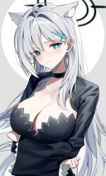 Rule 34 | 1girl, absurdres, animal ears, blue archive, blue eyes, breasts, grey background, grey hair, halo, highres, large breasts, official alternate costume, official alternate hairstyle, shiroko (blue archive), shiroko terror (blue archive), simple background, solo, sugar (dndi888), wolf ears