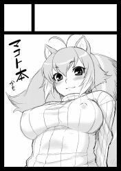 Rule 34 | 1girl, :3, animal ears, antenna hair, arc system works, black border, blazblue, blazblue: continuum shift, border, breasts, casual, circle cut, dr.p, covered erect nipples, greyscale, makoto nanaya, monochrome, ribbed sweater, short hair, solo, squirrel ears, squirrel tail, sweater, tail, turtleneck
