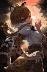 Rule 34 | 1girl, animal ears, animal print, arm at side, backlighting, belt, blonde hair, bow, bowtie, breasts, brown hair, cat girl, center frills, cowboy shot, elbow gloves, eyelashes, fang, frills, from side, fur scarf, gloves, hand up, highres, jaguar (kemono friends), jaguar ears, jaguar girl, jaguar print, jaguar tail, kemono friends, looking at viewer, looking to the side, medium breasts, melaton, multicolored hair, open mouth, outdoors, print bow, print bowtie, print gloves, print neckwear, print skirt, scarf, shirt, short sleeves, skirt, smile, solo, sunlight, tail, twilight, white hair, white shirt, yellow eyes