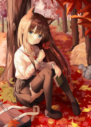 Rule 34 | 1girl, absurdres, animal ears, autumn leaves, bag, bekso, black skirt, blue eyes, blush, book, brown footwear, brown hair, brown thighhighs, forest, full body, furrowed brow, highres, holding, holding book, holding leaf, leaf, long hair, looking at viewer, maple leaf, nature, neckerchief, on ground, original, outdoors, red neckerchief, rock, sailor collar, school bag, school uniform, serafuku, shirt, shirt tucked in, sitting, skirt, solo, tail, thighhighs, tree, uniform, white sailor collar, white shirt