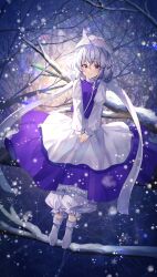 Rule 34 | 1girl, absurdres, blue dress, blue eyes, blue hair, closed mouth, dress, highres, letty whiterock, looking at viewer, nettian51, shirt, short hair, smile, snow, snowing, solo, touhou, tree, white shirt