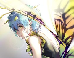 Rule 34 | 1girl, antennae, aqua hair, black cola, butterfly wings, closed mouth, dress, eternity larva, fairy, gradient background, hair between eyes, insect wings, leaf, leaf on head, looking back, multicolored clothes, multicolored dress, short hair, single strap, solo, touhou, upper body, wings, yellow eyes