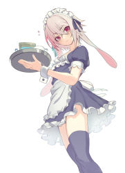 Rule 34 | 1boy, alternate costume, animal ears, ansel (arknights), apron, arknights, black thighhighs, blush, child, closed mouth, commentary request, crossdressing, cup, dress, enmaided, flying sweatdrops, hair between eyes, holding, holding tray, looking at viewer, maid, maid headdress, male focus, pink hair, puffy short sleeves, puffy sleeves, rabbit ears, red eyes, short sleeves, simple background, solo, standing, thighhighs, trap, tray, waist apron, white background, yoruhachi
