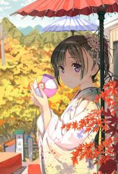 Rule 34 | 10s, 1girl, autumn, autumn leaves, bad id, bad pixiv id, ball, blurry, brown hair, butterfly hair ornament, chitanda eru, day, depth of field, derivative work, fingernails, floral print, flower, from side, hair flower, hair ornament, highres, hyouka, japanese clothes, kimono, kiriko (araragikoyomi), long fingernails, looking at viewer, maple tree, oil-paper umbrella, paper balloon, parasol, ponytail, purple eyes, shade, sky, smile, solo, tree, umbrella