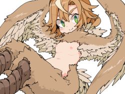 Rule 34 | 1girl, bird legs, blush, breasts, brown feathers, brown hair, brown wings, commentary, feathered wings, feathers, frfr, green eyes, hair between eyes, harpy, highres, monster girl, nipples, nude, original, simple background, small breasts, smile, solo, white background, winged arms, wings