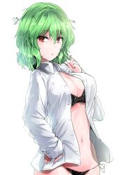 Rule 34 | 1girl, black bra, black panties, bra, breasts, cleavage, commentary request, cowboy shot, green hair, hair between eyes, hand on own hip, hand up, highres, kazami yuuka, large breasts, long sleeves, looking at viewer, navel, open clothes, open shirt, panties, red eyes, shirt, short hair, side-tie panties, simple background, solo, standing, stomach, touhou, underwear, white background, white shirt, y2