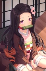 Rule 34 | 1girl, asa no ha (pattern), bamboo, between legs, bit gag, black hair, black jacket, blush, box, checkered sash, commentary, english commentary, forehead, from above, gag, gagged, hair ribbon, hand between legs, haori, highres, in box, in container, indoors, jacket, japanese clothes, kamado nezuko, kimetsu no yaiba, kimono, long hair, looking at viewer, looking up, mouth hold, multicolored hair, on floor, orange hair, pink eyes, pink kimono, pink ribbon, ribbon, seiza, sitting, slit pupils, solo, staring, tatami, tiri, two-tone hair, very long hair, wide sleeves