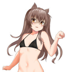 Rule 34 | 1girl, absurdres, animal ears, bare arms, bare shoulders, bikini, bikini top only, black bikini, blush, breasts, brown hair, cat ears, cat girl, collarbone, commentary request, girls&#039; frontline, hair ornament, hair over shoulder, hako reeema, head tilt, highres, kemonomimi mode, long hair, navel, open mouth, parted lips, paw pose, ponytail, scar, scar across eye, scar on face, shaded face, side ponytail, simple background, small breasts, smile, solo, stomach, string bikini, swimsuit, ump45 (girls&#039; frontline), unaligned breasts, upper body, white background, yellow eyes