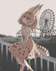 Rule 34 | 10s, 1girl, amusement park, animal ears, bare shoulders, belt, between legs, boots, bow, bowtie, brown eyes, brown ribbon, cat ears, cat tail, cross-laced clothes, dot nose, elbow gloves, fence, ferris wheel, footwear ribbon, from side, gloves, greyscale, hair between eyes, hand between legs, kawanobe, kemono friends, lonely, looking away, looking up, monochrome, monochrome background, muted color, orange hair, outdoors, ribbon, roller coaster, sad, serval (kemono friends), serval print, serval tail, shirt, short hair, sitting, sitting on fence, skirt, sleeveless, sleeveless shirt, solo, spot color, striped tail, tail, thighhighs, tree, white footwear, white shirt