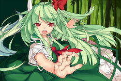 Rule 34 | 1girl, bamboo, dress, ex-keine, face, female focus, foreshortening, green hair, highres, horns, kamishirasawa keine, long hair, mikan (bananoha), open mouth, red eyes, solo, touhou