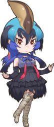 Rule 34 | 1girl, bird girl, blue hair, brown eyes, brown hair, kemono friends, long hair, looking at viewer, multicolored hair, official art, solo, southern cassowary (kemono friends), tachi-e, transparent background, yoshizaki mine