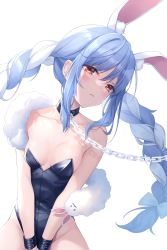 Rule 34 | 1girl, animal ear fluff, animal ears, bare shoulders, between legs, blue hair, blush, braid, breasts, chain, chain leash, chocofox, cleavage, closed mouth, collar, collarbone, commentary request, fur shawl, hand between legs, head tilt, highres, hololive, leash, leotard, long hair, looking at viewer, mixed-language commentary, multicolored hair, playboy bunny, rabbit ears, red eyes, shawl, sidelocks, simple background, sitting, smile, solo, thick eyebrows, twin braids, two-tone hair, usada pekora, very long hair, virtual youtuber, white background, white hair