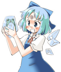 Rule 34 | circled 9, 1girl, arnest, bad id, bad pixiv id, blue eyes, blue hair, cirno, frog, frozen, frozen frog, ice, ice wings, matching hair/eyes, short hair, sketch, smile, solo, touhou, triangle mouth, wings