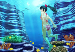 Rule 34 | 1girl, barefoot, bikini, black hair, bubble, canyon, coral, dolphin, feet, female focus, fish, freediving, from behind, hirono (final square), long hair, manta ray, ocean, original, ponytail, rock, soles, solo, swimming, swimsuit, underwater, water