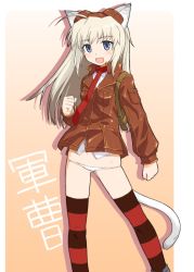 Rule 34 | 00s, 1girl, animal ears, artist request, bad id, bad pixiv id, blue eyes, jacket, leather, leather jacket, leatherjacket, long hair, lowleg, lowleg panties, panties, red thighhighs, scarf, solo, strike witches, striped clothes, striped thighhighs, tail, thighhighs, underwear, white panties, wilma bishop, world witches series, yk-ts