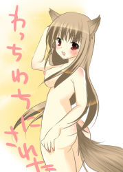 Rule 34 | 00s, 1girl, animal ears, ass, breasts, brown hair, holo, medium breasts, nanaroba hana, nipples, nude, red eyes, solo, spice and wolf, tail, wolf ears, wolf tail