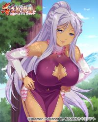 Rule 34 | 1girl, bare shoulders, bent over, breasts, cleavage, cleavage cutout, clothing cutout, copyright name, dark-skinned female, dark skin, day, detached sleeves, dress, forest, garter straps, gloves, hands on own hips, jewelry, koihime musou, kougai, large breasts, leaning forward, light purple hair, lipstick, long hair, looking at viewer, makeup, mole, mole under mouth, nature, necklace, official art, outdoors, pelvic curtain, ponytail, sidelocks, sitting, sleeveless, smile, solo, tree, very long hair