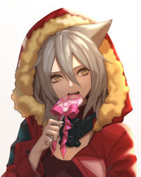 Rule 34 | 15melon, 1girl, animal ears, arknights, bad id, bad twitter id, black shirt, breasts, candy, cleavage, closed mouth, commentary request, eyelashes, fangs, food, fur-trimmed hood, fur trim, grey hair, hair between eyes, highres, holding, holding candy, holding food, holding lollipop, hood, hooded jacket, jacket, light, lollipop, long hair, looking to the side, mask, mask around neck, medium breasts, open clothes, open jacket, pink ribbon, projekt red (arknights), red jacket, respirator, revision, ribbon, shirt, simple background, solo, swirl lollipop, twitter username, upper body, wolf ears, yellow eyes