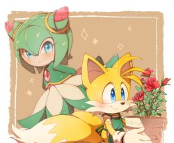 Rule 34 | 1boy, 1girl, animal nose, blue eyes, blush, closed mouth, cosmo (sonic), flower, fox boy, furry, furry male, furry with non-furry, interspecies, misuta710, monster girl, multiple tails, plant, plant girl, red flower, red rose, rose, smile, snout, sonic (series), sonic the hedgehog, sonic x, tail, tails (sonic), two tails, vase
