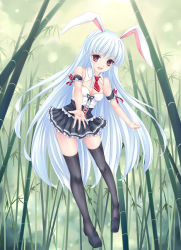 Rule 34 | 1girl, alternate costume, alternate hair color, animal ears, bamboo, bamboo forest, black thighhighs, blush, breasts, cleavage, forest, fred0092, highres, long hair, nature, necktie, rabbit ears, red eyes, red necktie, reisen udongein inaba, silver hair, skirt, smile, solo, thighhighs, touhou, very long hair