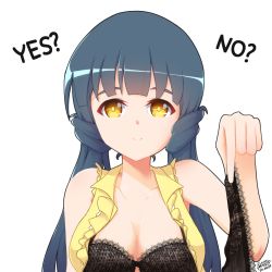 Rule 34 | 1girl, black bra, black panties, blue hair, bra, breasts, brown eyes, closed mouth, collarbone, commentary, dated, english commentary, english text, highres, holding, holding clothes, holding panties, holding underwear, idolmaster, idolmaster million live!, kitakami reika, lace, lace-trimmed bra, lace trim, long hair, looking at viewer, low twintails, medium breasts, nillis, panties, signature, smile, solo, twintails, underwear, upper body