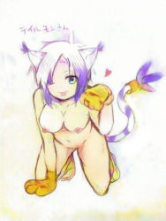 Rule 34 | 1girl, animal ears, breasts, cat ears, cosplay, digimon, digimon (creature), gloves, nude, tail, tailmon