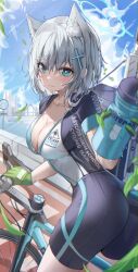 Rule 34 | 1girl, animal ears, assault rifle, bag, bicycle, bike shorts, biker clothes, bikesuit, blue archive, blue eyes, blush, bodysuit, bottle, breasts, bridge, cat ears, cityscape, cleavage, cloud, collarbone, cross, grey hair, gun, hair ornament, hairclip, halo, highres, large breasts, medium breasts, mungduck, rifle, road sign, shiroko (blue archive), sig sauer 556, sign, sky, smile, solo, sweat, water bottle, weapon