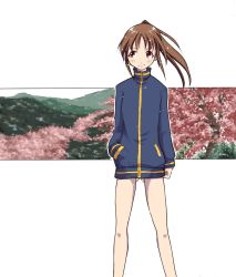 Rule 34 | 1girl, bare legs, bottomless, highres, long sleeves, no pants, saki (manga), takakamo shizuno