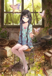 Rule 34 | 1girl, absurdres, black hair, blue eyes, broken window, bug, butterfly, chair, collarbone, commentary request, full body, highres, indoors, insect, kami-sama no memo-chou, kishida mel, long hair, looking at viewer, no shoes, outstretched arm, overgrown, pajamas, reaching, reaching towards viewer, ruins, shionji yuuko, sidelocks, sitting, solo, tagme, thighhighs, very long hair, white thighhighs, window, zettai ryouiki