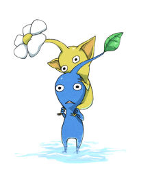 Rule 34 | black eyes, blue pikmin, blue skin, carrying, colored skin, commentary request, flower, holding another&#039;s foot, holding another&#039;s head, leaf, naru (wish field), nintendo, no humans, no mouth, piggyback, pikmin (creature), pikmin (series), pointy ears, triangle mouth, water, white background, white flower, yellow pikmin, yellow skin