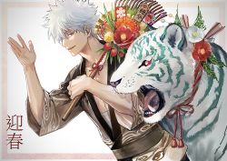 Rule 34 | 1boy, brown kimono, chinese zodiac, commentary request, flower, framed, gesture request, gintama, highres, japanese clothes, kimono, long sleeves, open clothes, sakata gintoki, short hair, silver hair, tagme, tiger, uraki (tetsu420), white background, white tiger, year of the tiger