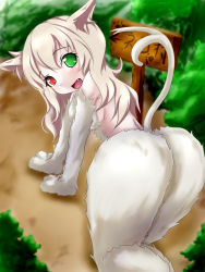 Rule 34 | 1girl, animal ears, animal hands, artist request, ass, back, blush, breasts, cat ears, cat girl, cat tail, fang, from behind, furry, furry female, green eyes, heterochromia, highres, huge ass, looking at viewer, mon-musu quest!, monster girl, multiple tails, nekomata, nekomata (mon-musu quest!), on ground, red eyes, sideboob, sidelocks, silver hair, smile, solo, tail