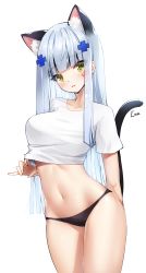Rule 34 | 1girl, animal ear fluff, animal ears, ankkoyom, artist name, bad id, bad pixiv id, blunt bangs, blush, bottomless, cat ears, cat girl, cat tail, cowboy shot, crop top, cross hair ornament, girls&#039; frontline, green eyes, hair ornament, highres, hk416 (girls&#039; frontline), kemonomimi mode, long hair, looking at viewer, navel, parted lips, shirt, short sleeves, silver hair, simple background, smile, solo, stomach, tail, thighs, white background, white shirt