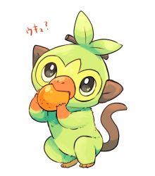Rule 34 | creature, creatures (company), eating, food, fruit, full body, game freak, gen 8 pokemon, grookey, holding, holding food, holding fruit, mizuto (o96ap), monkey, nintendo, orange (fruit), pokemon, pokemon (creature), simple background, solo, standing, white background