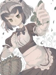Rule 34 | 10s, 1girl, alternate costume, animal ears, apron, basket, black bow, black hair, bow, bowtie, clenched hands, closed mouth, commentary request, common raccoon (kemono friends), dress, dutch angle, enmaided, extra ears, flower, foreshortening, frills, gloves, green eyes, grey hair, hands up, highres, holding, kemono friends, leaf, looking at viewer, maid, maid headdress, mochiyorinpun, muted color, outstretched arm, puffy short sleeves, puffy sleeves, raccoon ears, short hair, short sleeves, sidelocks, solo, upper body, waist apron, wavy mouth, white gloves