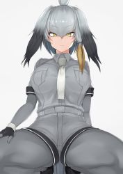 Rule 34 | 10s, 1girl, absurdres, alternate breast size, belt, between breasts, black footwear, black gloves, black hair, bodystocking, breast pocket, breasts, brown hair, closed mouth, collared shirt, expressionless, feathers, fingerless gloves, from below, gloves, grey hair, grey pantyhose, grey shirt, grey shorts, grey theme, hair between eyes, hand on own thigh, head wings, highres, kemono friends, large breasts, layered sleeves, long sleeves, looking at viewer, low ponytail, maruyaa (malya1006), medium hair, multicolored hair, necktie, necktie between breasts, pantyhose, pantyhose under shorts, pocket, shirt, shoebill (kemono friends), shoes, short over long sleeves, short sleeves, shorts, side ponytail, simple background, solo, spread legs, squatting, thighs, tsurime, white background, white necktie, wings, yellow eyes