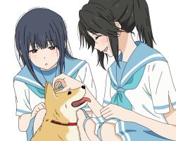 Rule 34 | 2girls, :o, black hair, blue hair, blue neckerchief, blue sailor collar, blue skirt, blush, closed eyes, commentary request, dog, hibike! euphonium, highres, kasaki nozomi, kitauji high school uniform, liz to aoi tori, long hair, looking at another, motomati, multiple girls, neckerchief, open mouth, parted lips, petting, pleated skirt, ponytail, red eyes, sailor collar, school uniform, serafuku, shiba inu, shirt, short sleeves, simple background, skirt, smile, squatting, white background, white shirt, yoroizuka mizore