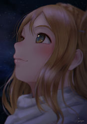 Rule 34 | 1girl, bad id, bad pixiv id, blurry, blush, braid, brown eyes, brown hair, close-up, closed mouth, crown braid, depth of field, eye reflection, highres, long hair, looking away, looking up, love live!, love live! sunshine!!, night, night sky, ohara mari, outdoors, papi (papiron100), portrait, reflection, scarf, signature, sky, smile, solo, tareme, white scarf