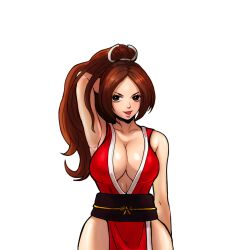 Rule 34 | 1girl, breasts, darji, fatal fury, large breasts, long hair, ponytail, shiranui mai, simple background, smile, solo